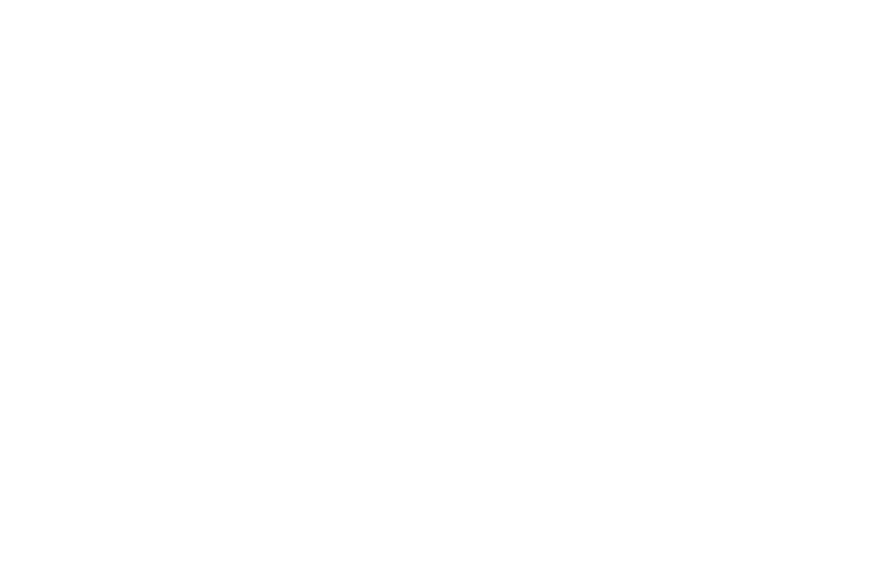 Fino Logo weiß